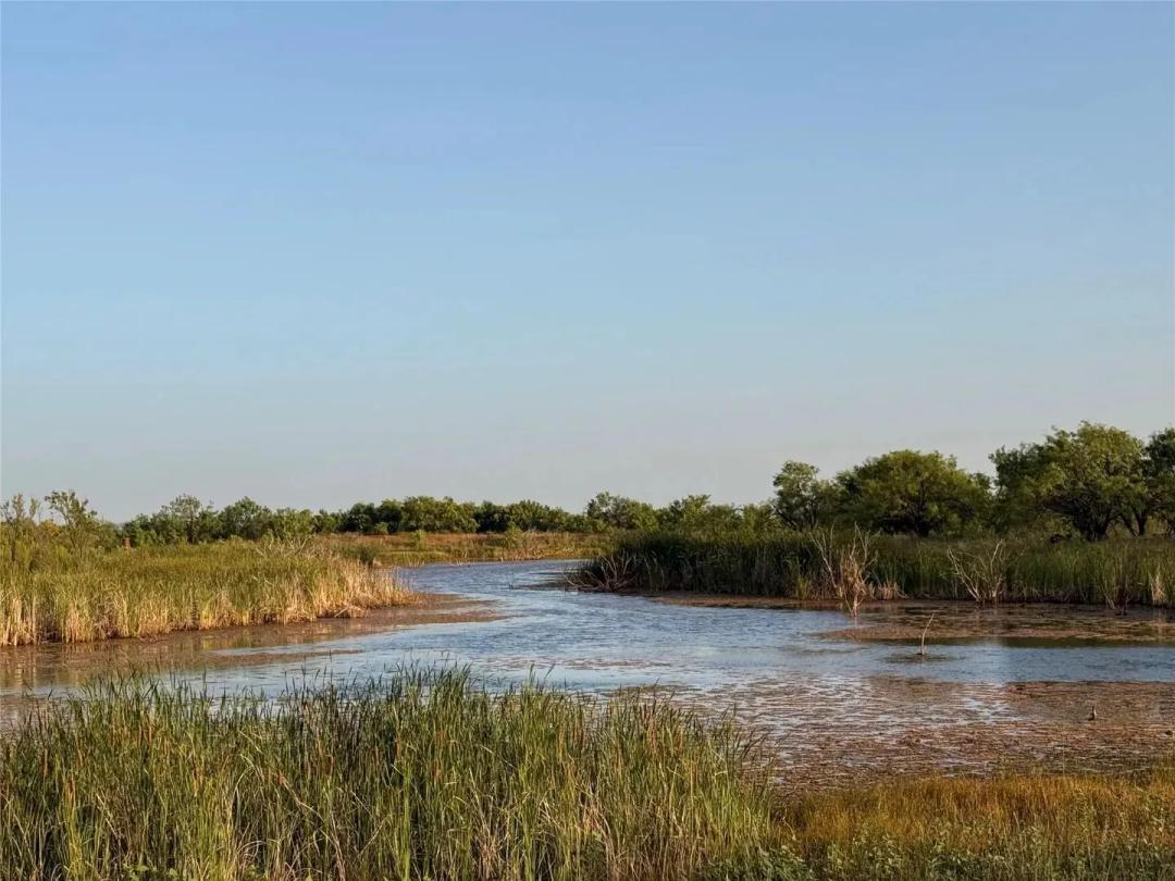 New Listing!!!421.03+/- Ac & Cabin, Taylor County