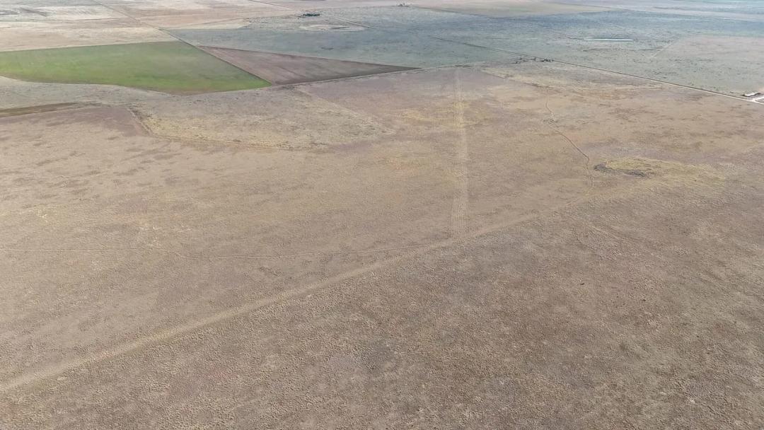 320± Acres - Bailey County