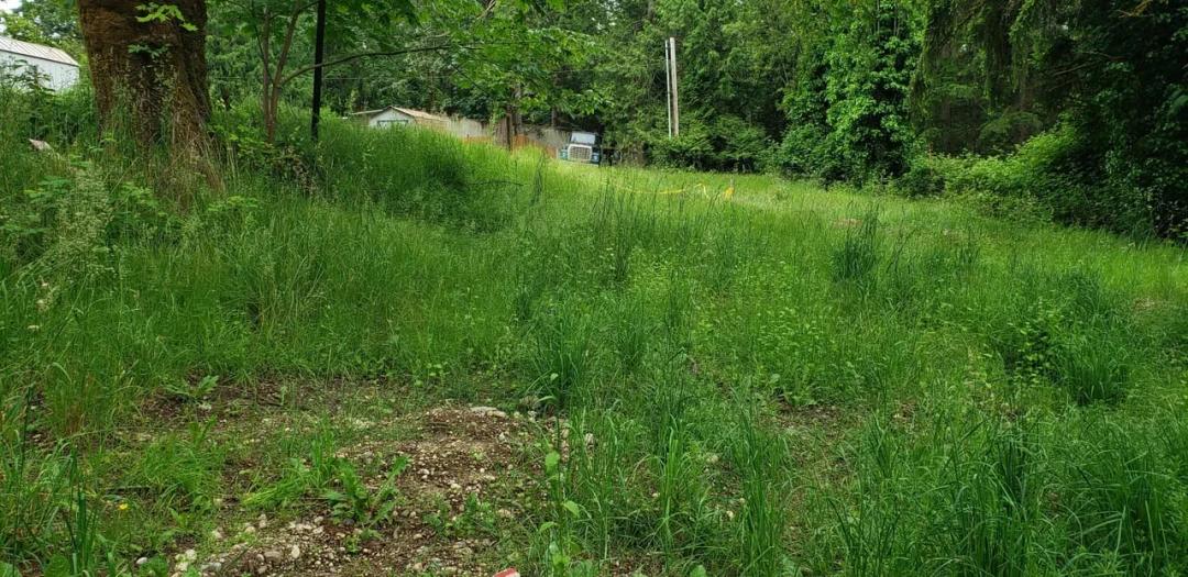 Gig Harbor 0.26 acre Investment Property