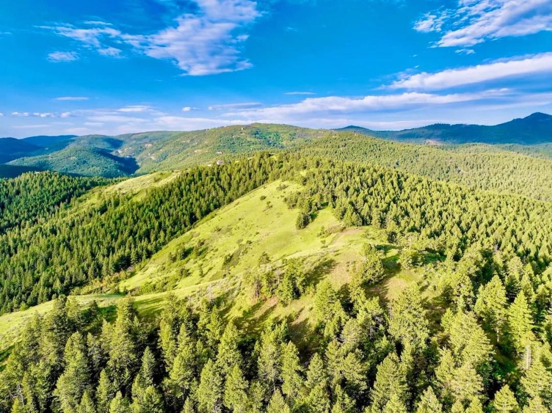 Dynamic Deer Creek Canyon