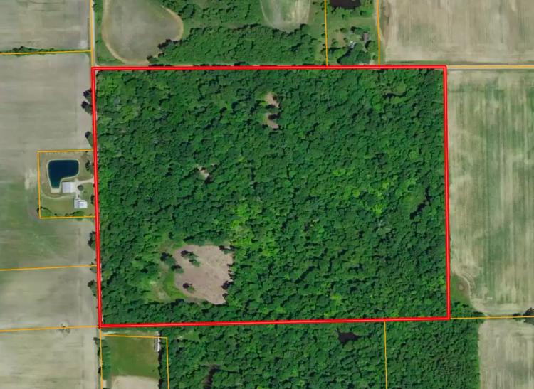 47 +/- ACRES / DEKALB COUNTY / HUNTING / TIMBER / LAND FOR SALE