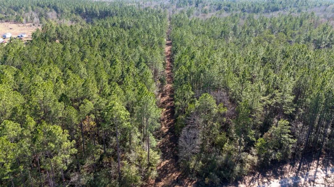 0 Whispering Pines Drive, Lumberton, Texas, 77657