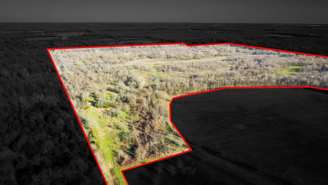 Texas Prime Hunting Land For Sale Sumner TX