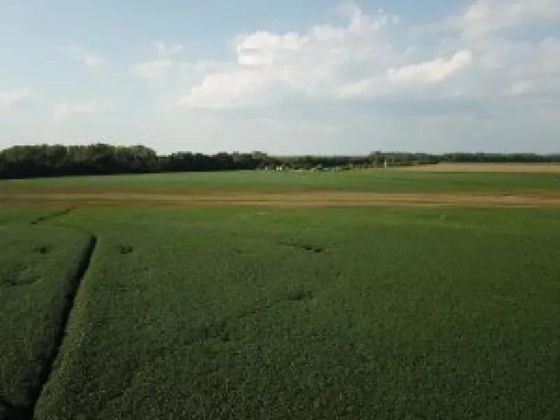 60 Tillable Acres for income/investment!!!