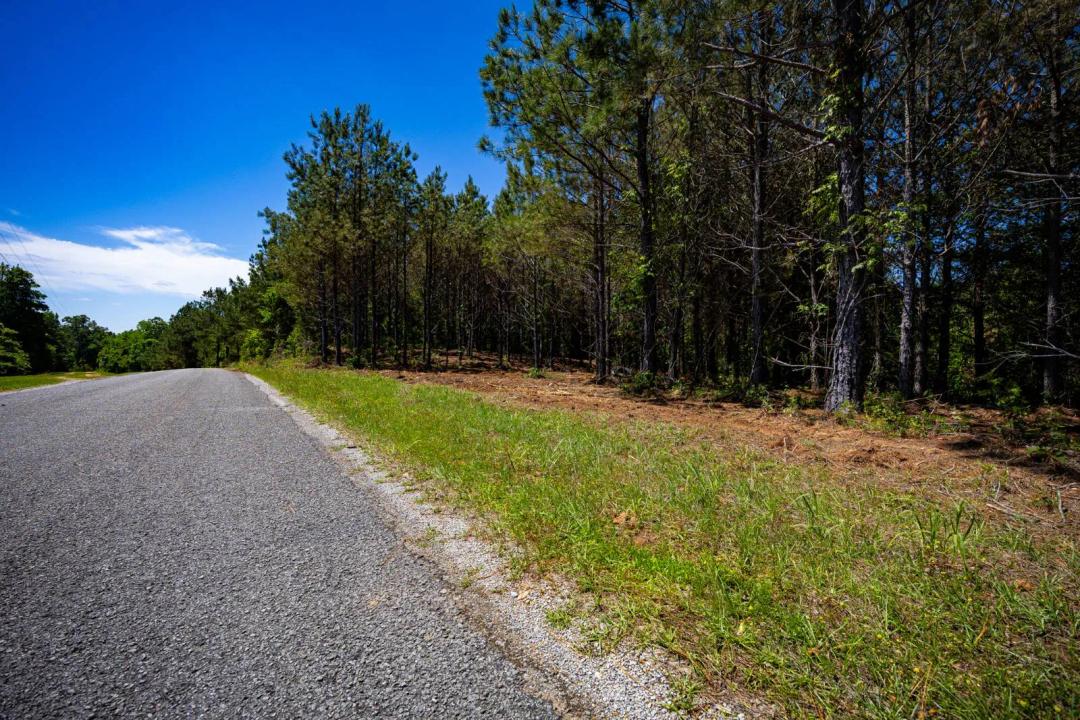 Burntfields Road 19.52 Tract 4