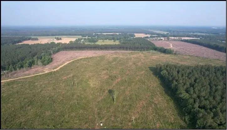 32.3 Acres in Rankin County in Pelahatchie, MS