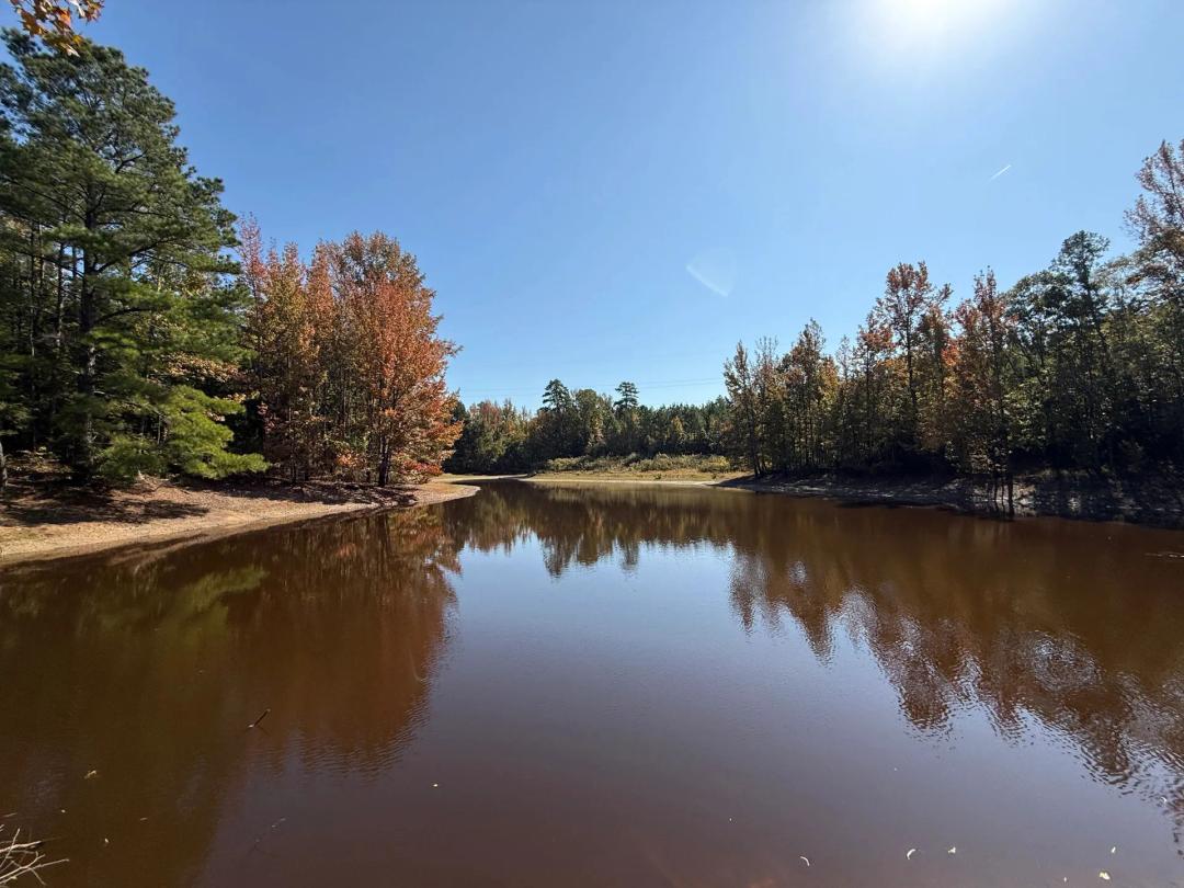 388 Acres in Yalobusha County, MS