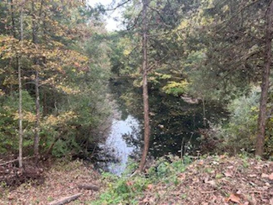 Land For Sale in Clay County, IN 6 Acres +/-