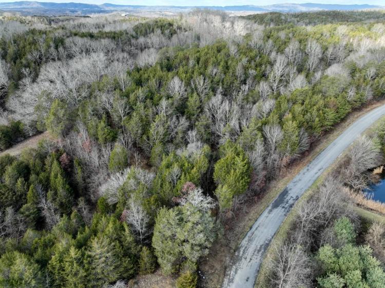 21.28 Acres at 0 Cox Hill Rd