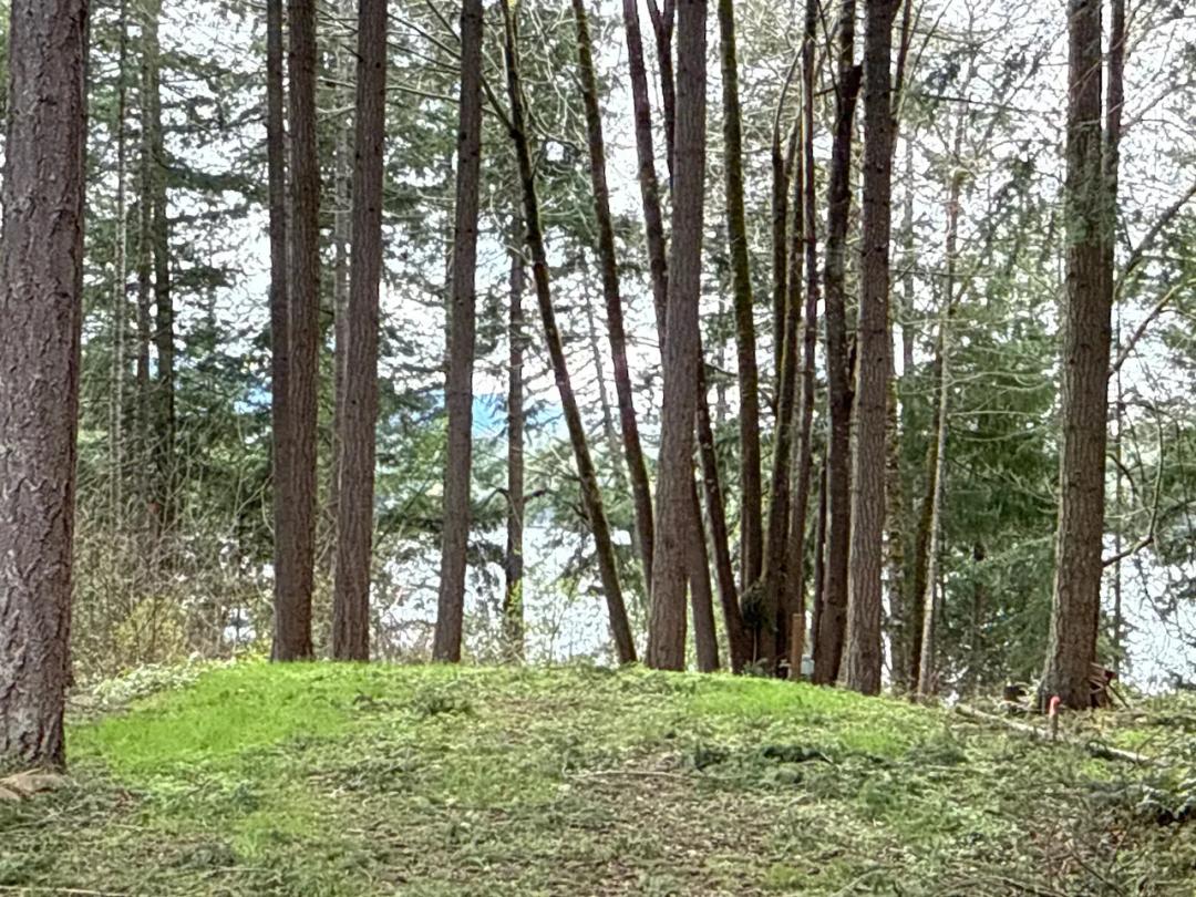0.181 acres in Yelm (Clearwood)