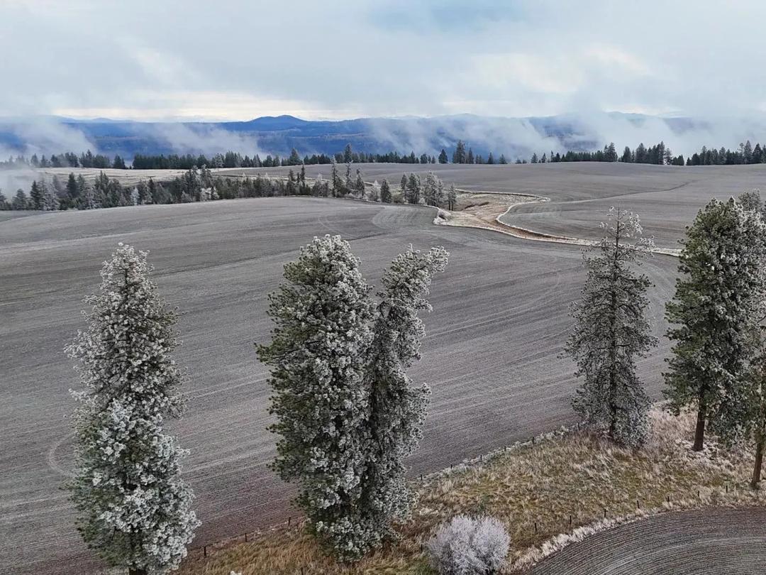 Nez Perce Prairie