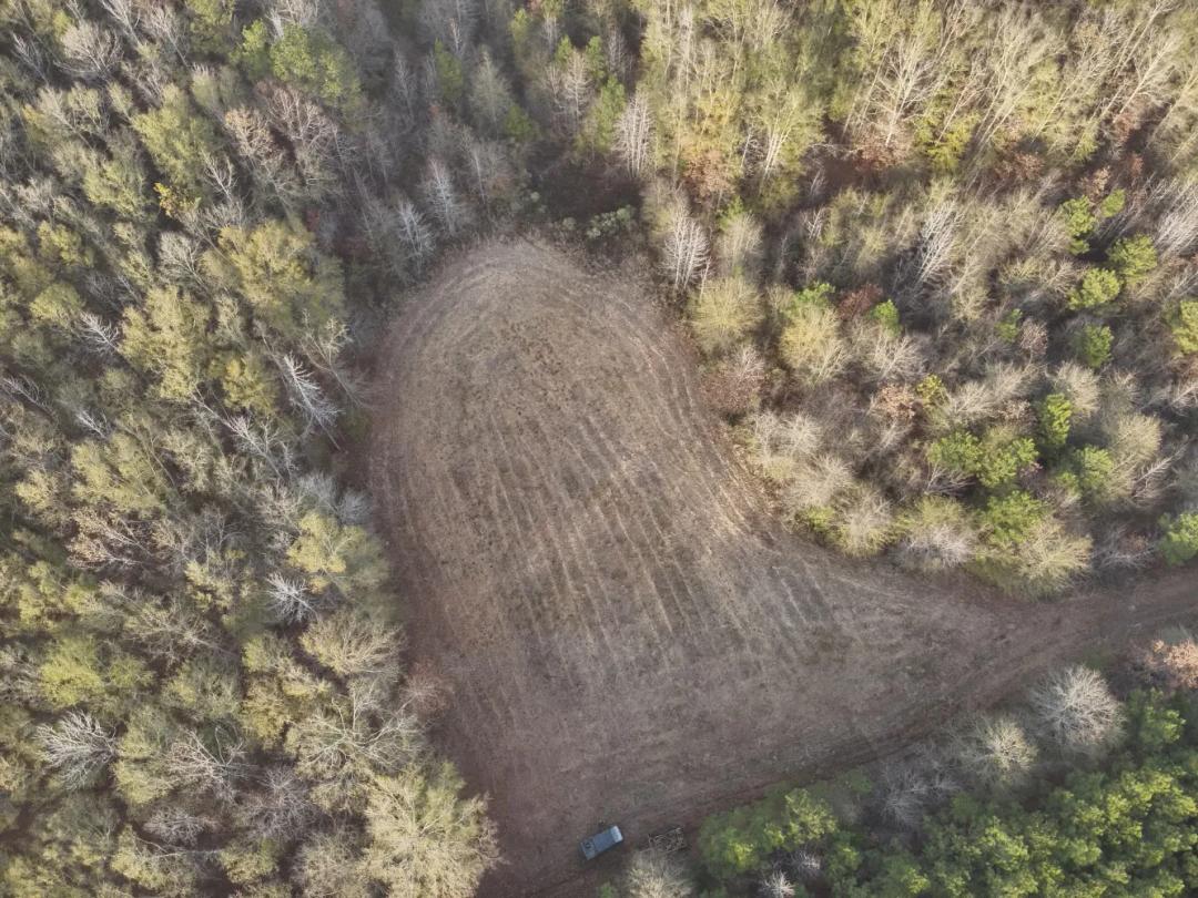 138.15 Acres at 5600 Old Vinton Rd, West Point, MS, 39773
