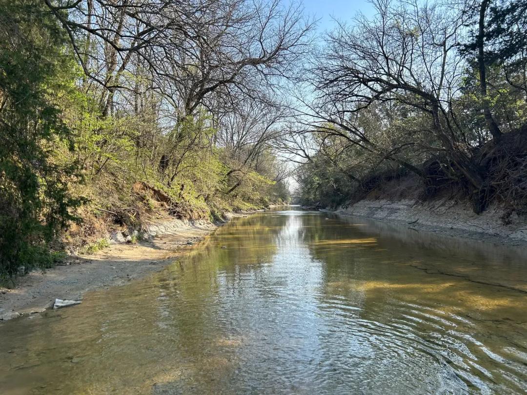 Tallabinnela Creek Recreation and Timber