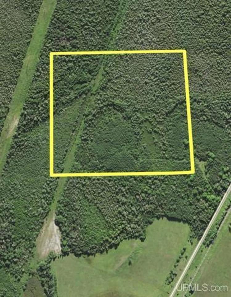 40 Acres Off Co Rd 426  50101463