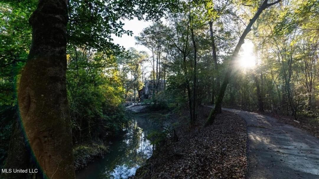 113± Acres for Sale in Osyka, MS on Tickfaw River