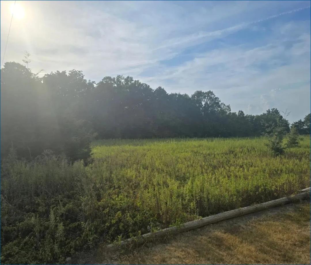 2.6 Acre Lot in Sunflower County in Cleveland, MS