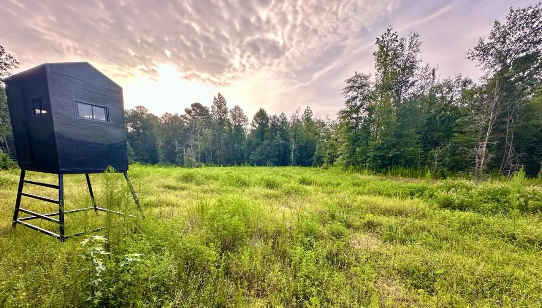Polk County- 140+/- Acres