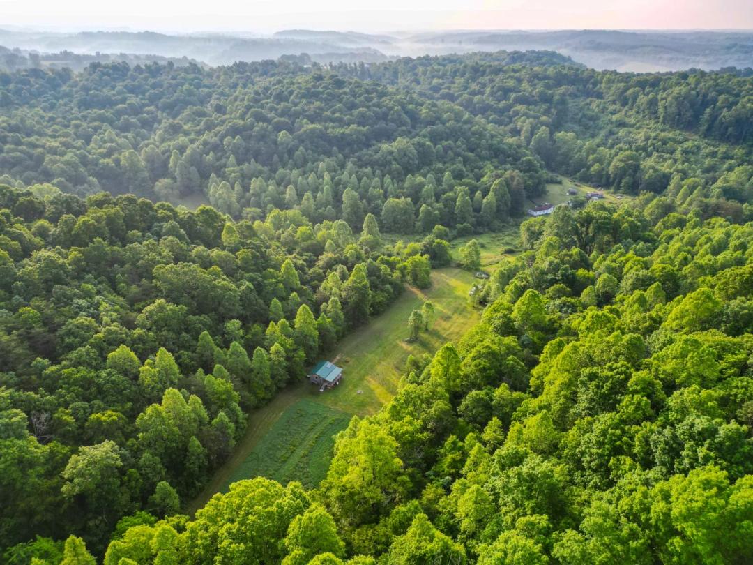 Off-Grid Cabin/Diverse Hunting Land