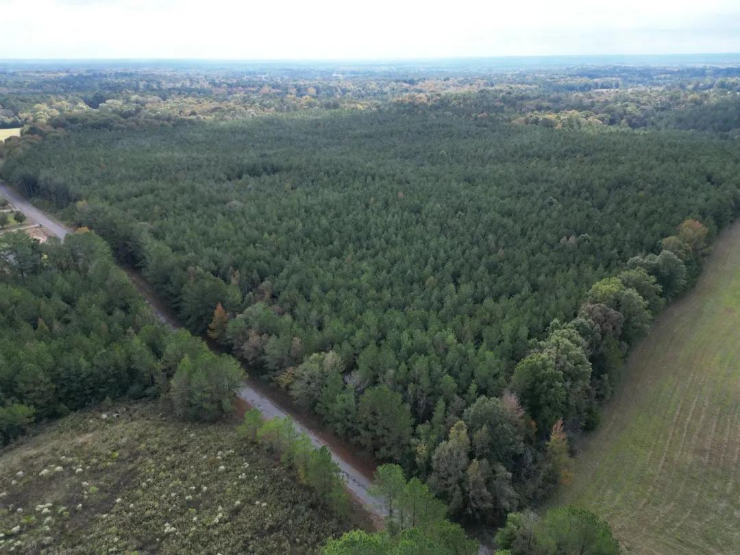 56 Acres in Leake County in Carthage, MS