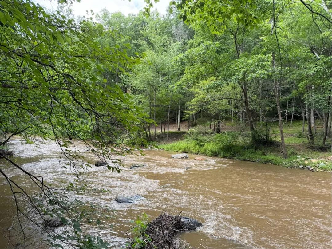 9.79 Acres at Tbd Buzzard Roost Ln