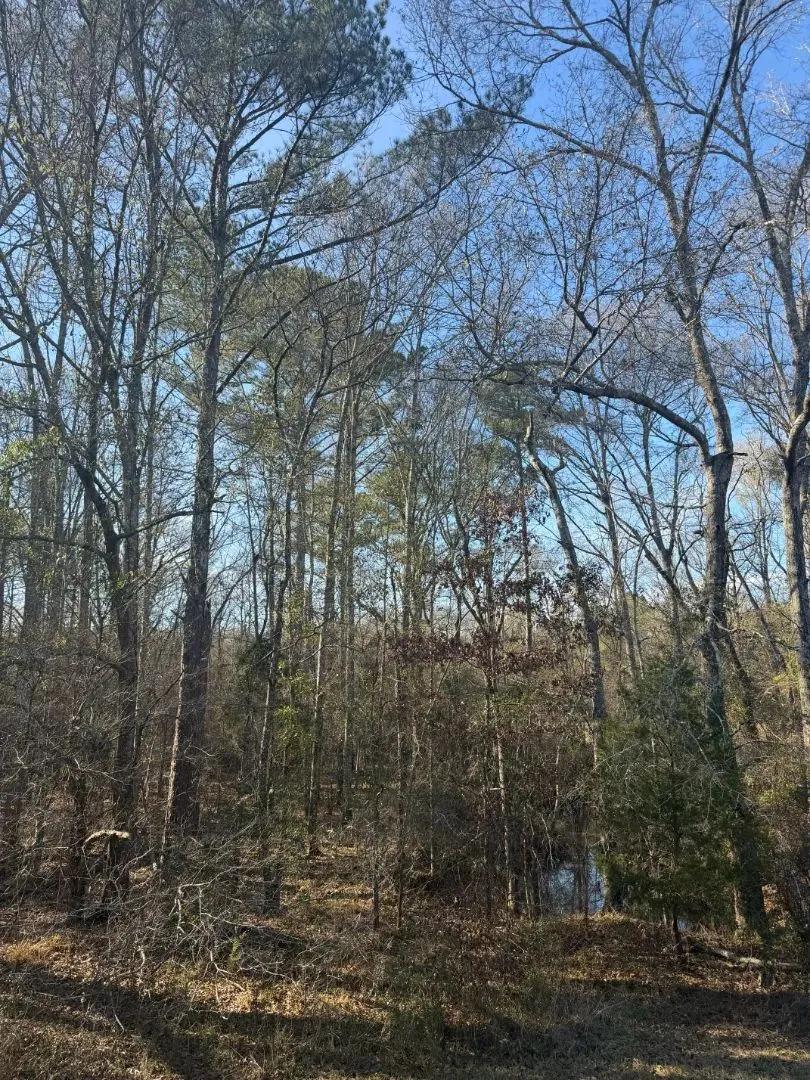 65.61 Acres Rankin County, MS