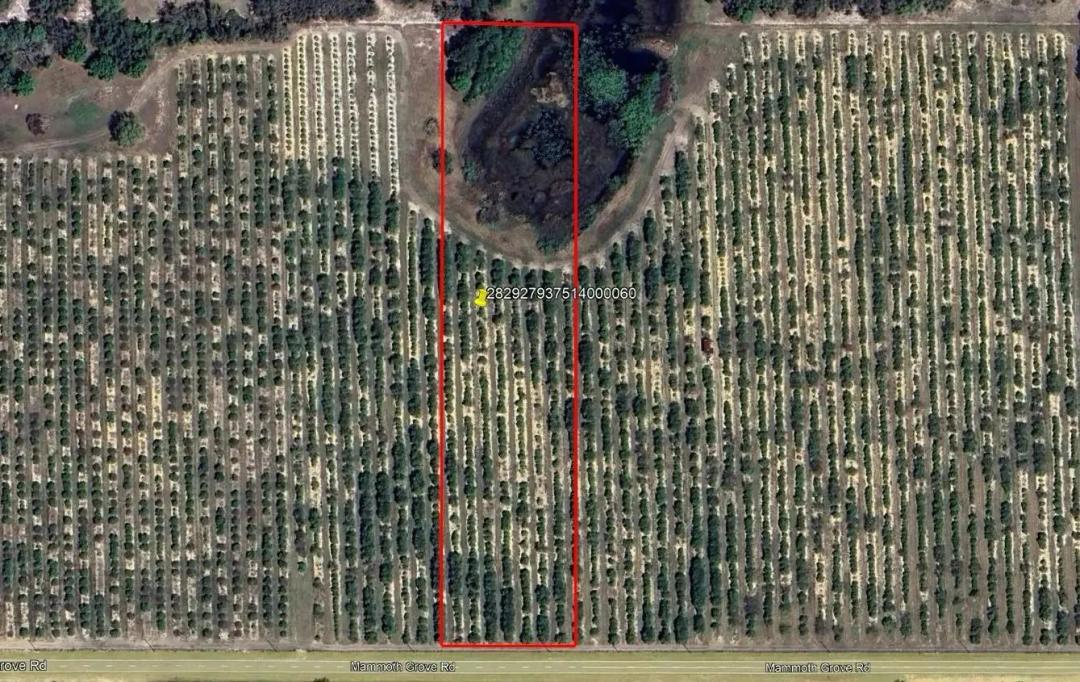 Mammoth Grove Road Lot 6