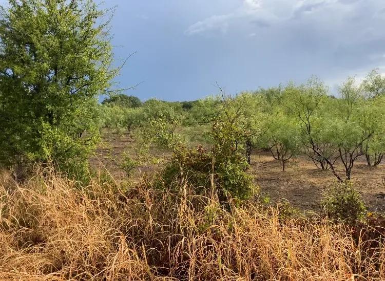 20 acres in the Heart of Texas