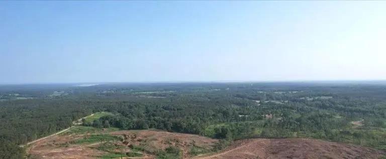 57.4 Acres in Lafayette County in Oxford, MS