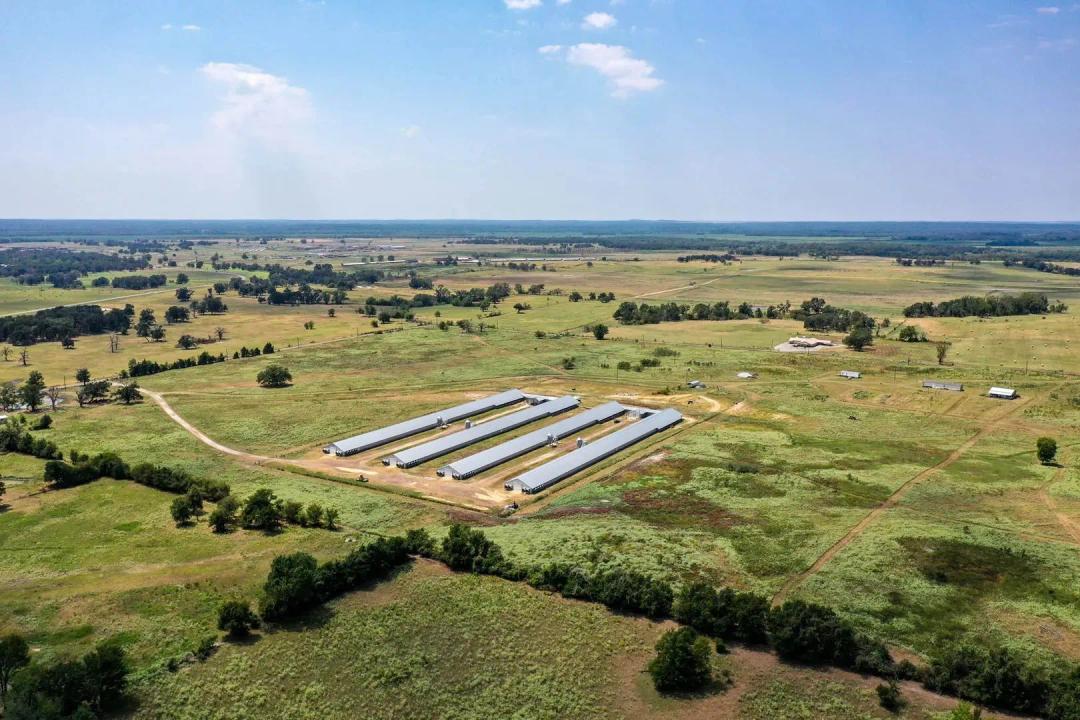 4 House Poultry Breeder Farm, Anderson County, TX