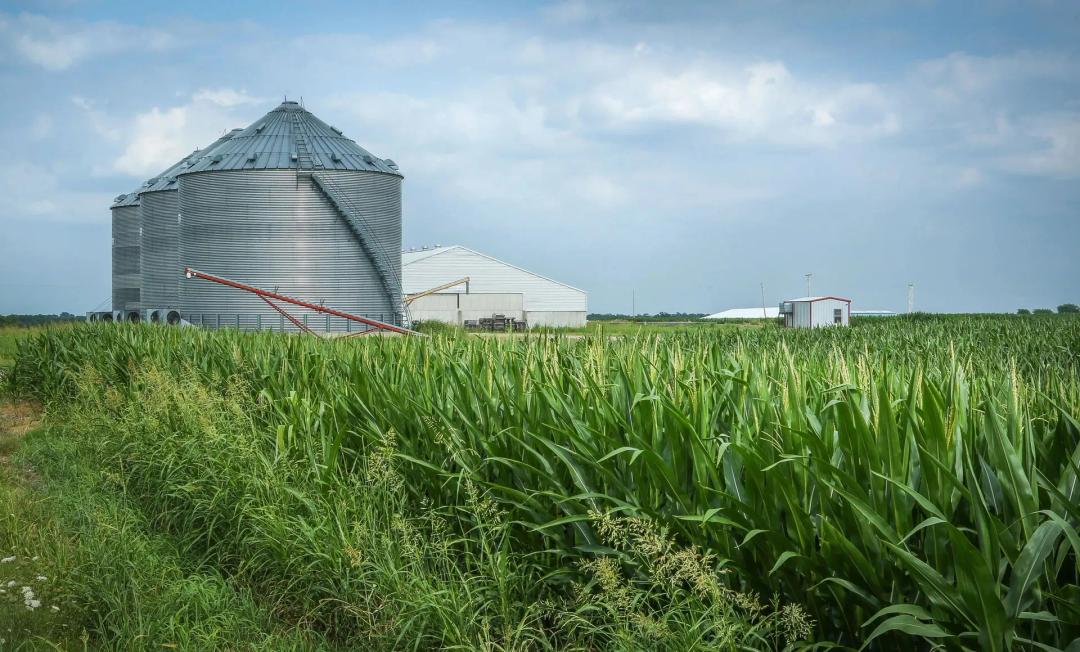 Lamar Farm 2125 Acres