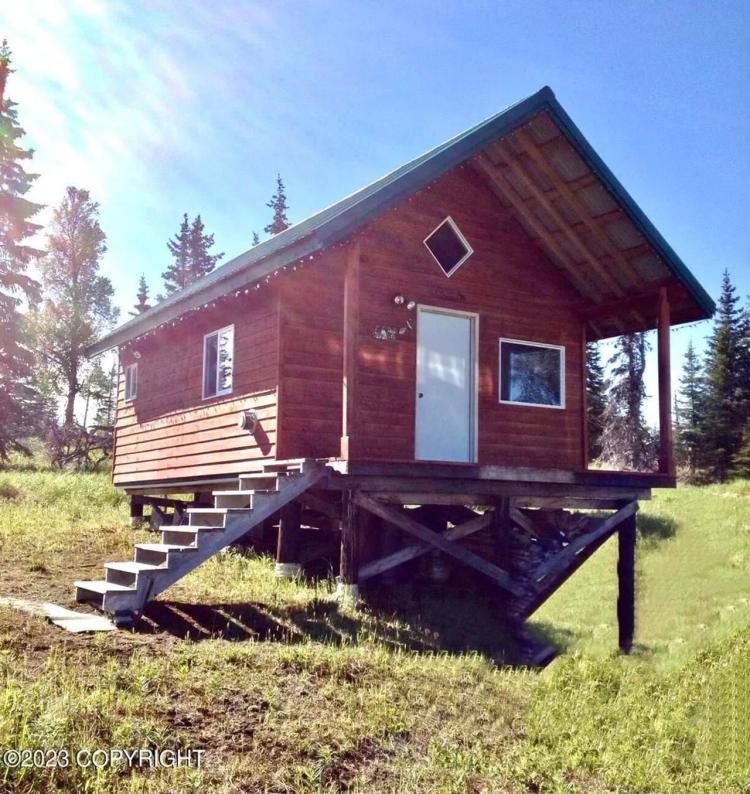 Cabin in the woods off grid