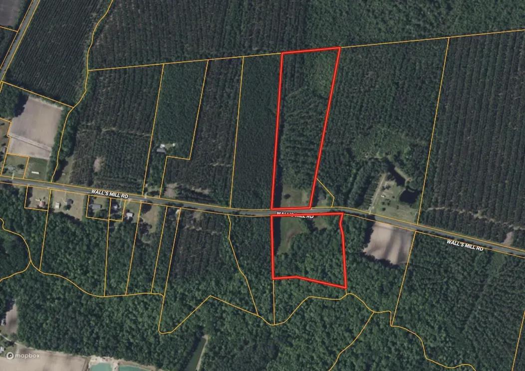 24-Acre Timberland & Hunting Property Near New Bern, NC