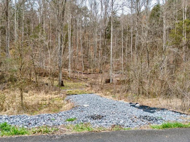 Unrestricted Living on a 6.28-Acre Wooded Lot in Bybee, TN