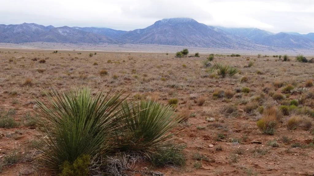 Tierra Grande Subdivison * 5 acres * Power * 40 miles south of Albuquerque