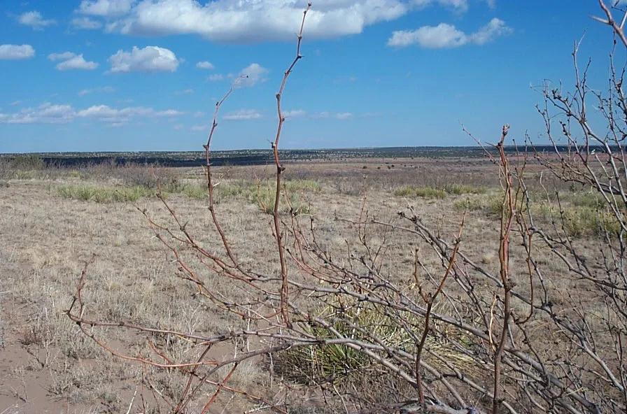 Scenic off the beaten path 5 acres - Lake Conchas area between Las Vegas and Tucumcari New Mexico