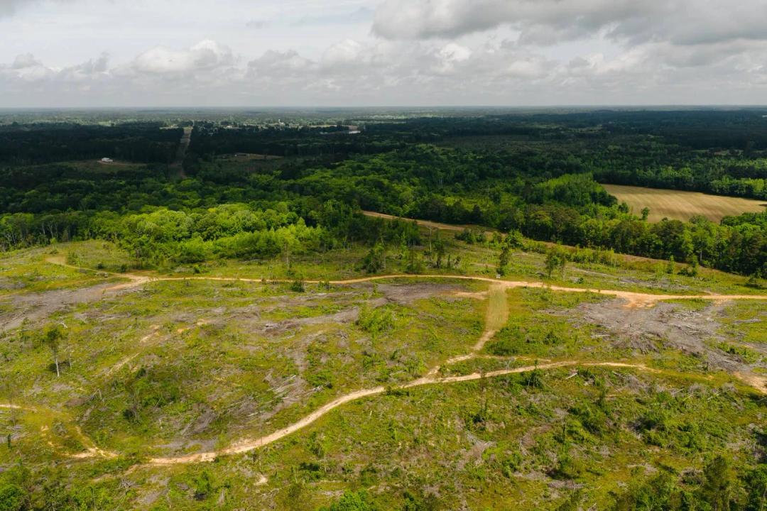 12.5± Acres Near Nanih Waiya School - Preston, MS