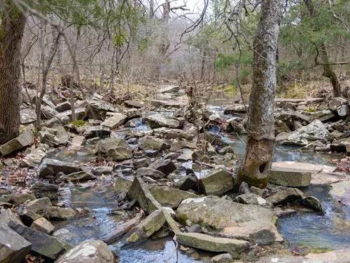 $999 down beautiful homestead near the lake