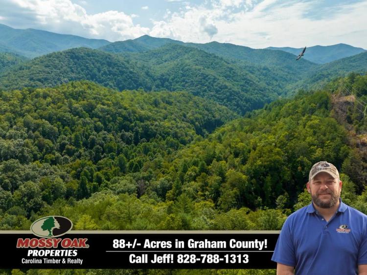 88+/- Acres Nestled In The Mountains Of Robbinsville!