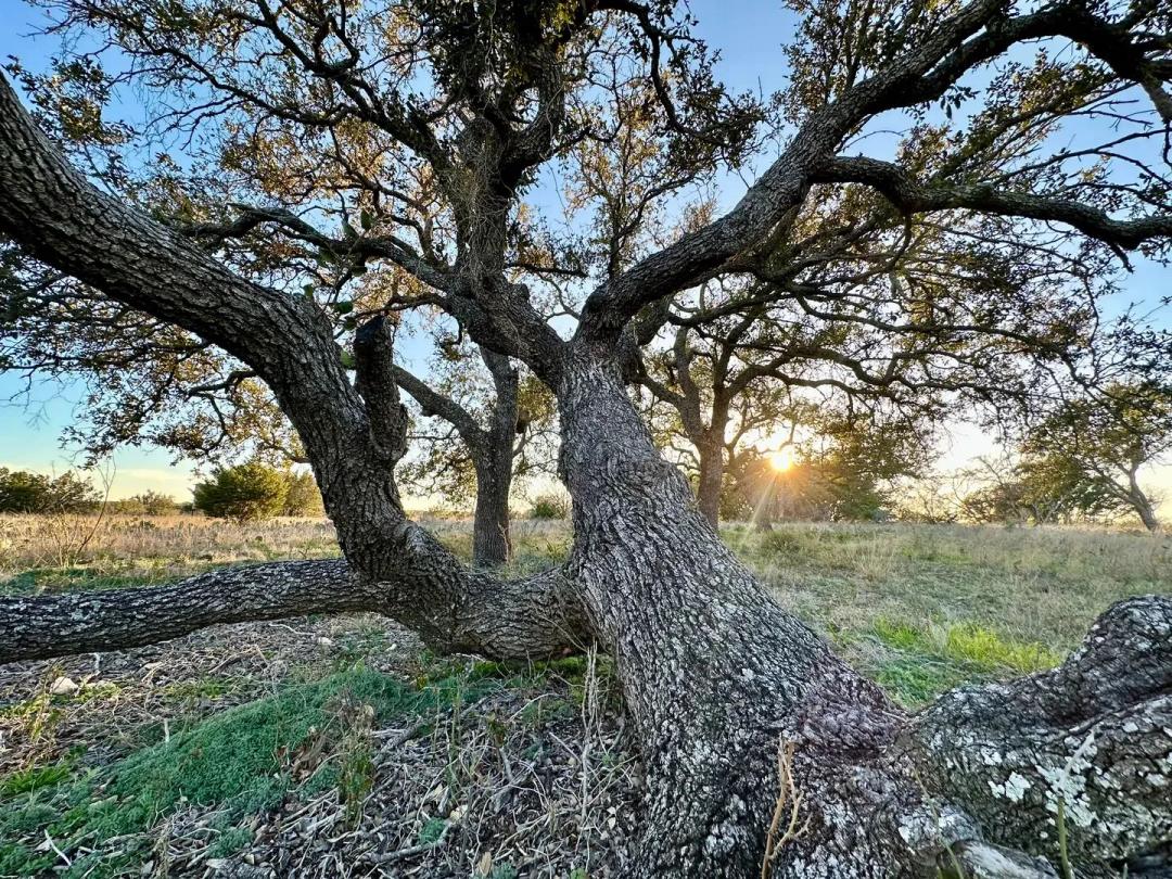 1 Ranch Rd #1222 Mason, TX 76856