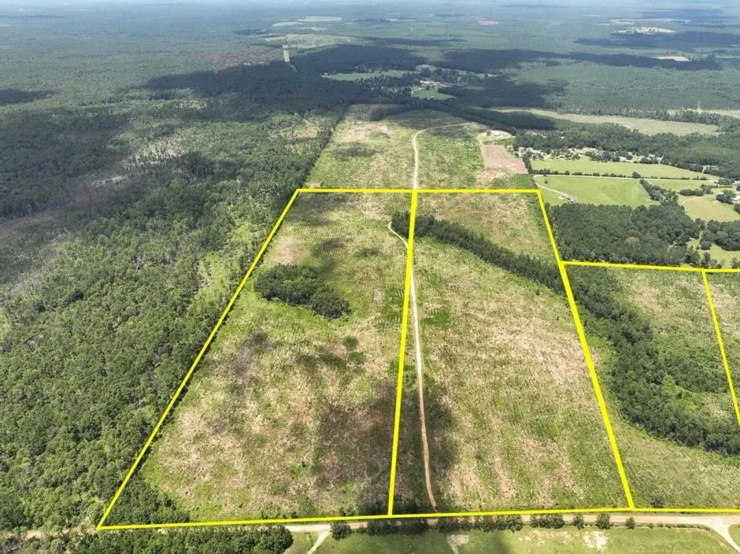 41 Acres | T-6 | Sunflower Road | 00011