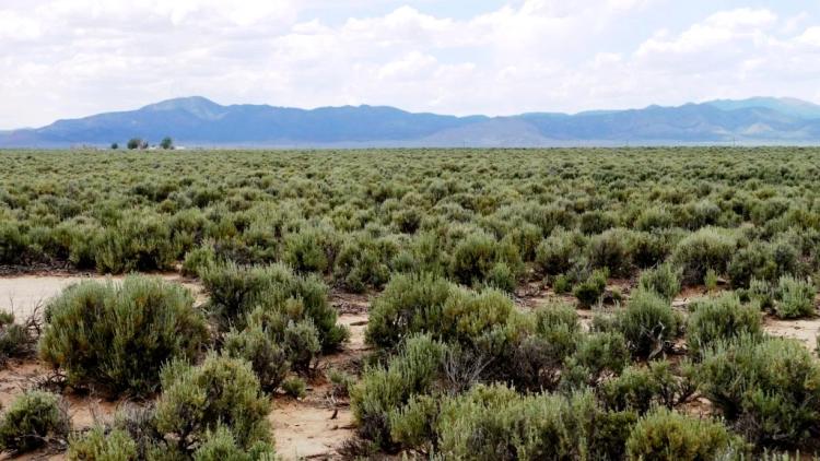 Own your own Southwestern Utah land