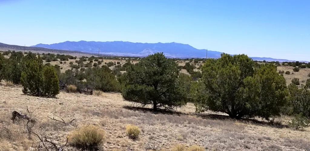 Pinon Springs Ranch * Rolling Hills * Trees * Views * Power