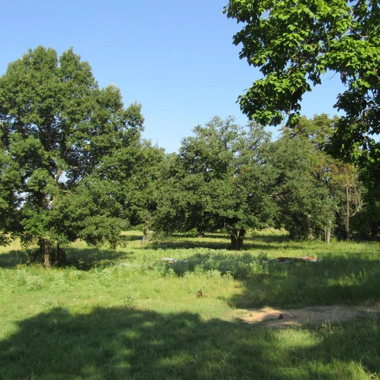 ROLLING HILL RANCHES DEVELOPMENT PHASE 2 Choctaw County, OK LOT 4 @ 30 AC