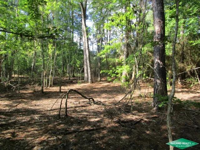18 ac - Timberland with Home Site Potential