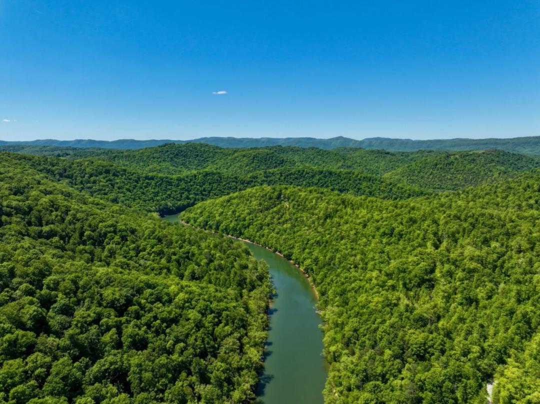 13.31 Acres at 0 Crestwood Road - 123 & 124
