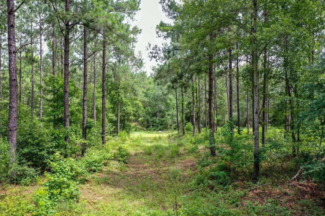 15.573 Ac CR 1050, Houston County, TX