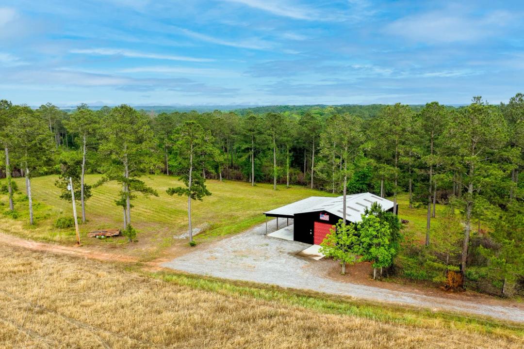 135 Acres For Sale Crenshaw County, AL