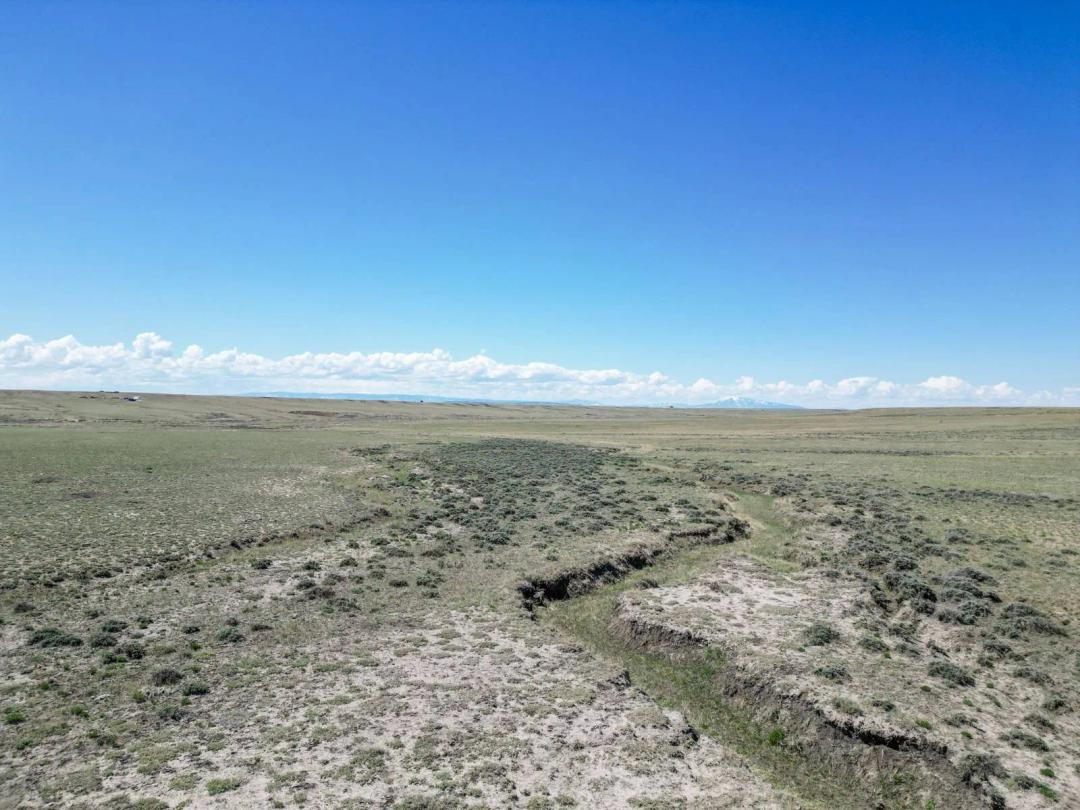 Expansive 70.53 Acres in Albany County, Wyoming