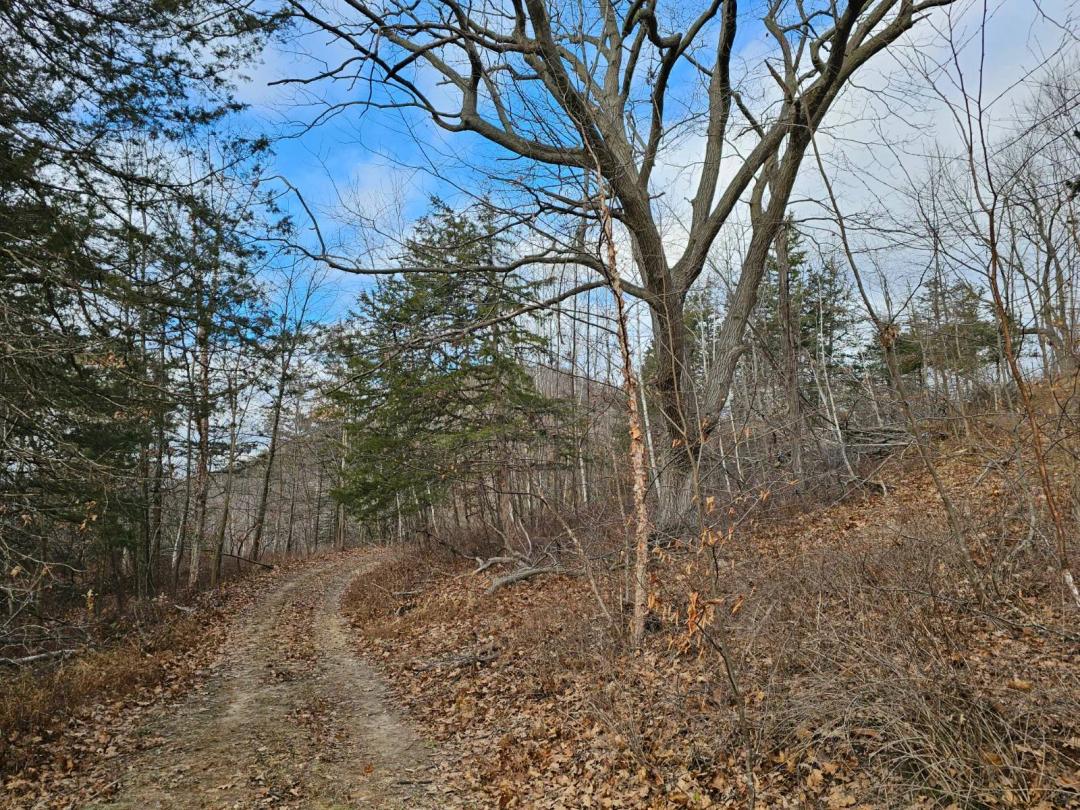 38 Acre Hunters Retreat...10 minutes south of LaCrosse, WI