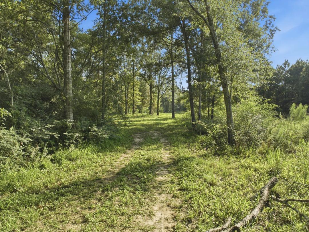142 Acre Recreational Opportunity